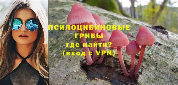 мяу мяу мука Балахна