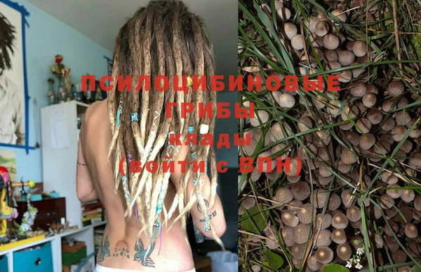 винт Баксан