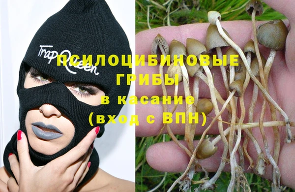 мяу мяу мука Балахна