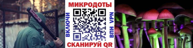 Псилоцибиновые грибы Cubensis Бежецк