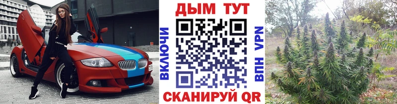 Бошки марихуана VHQ где найти наркотики Бежецк